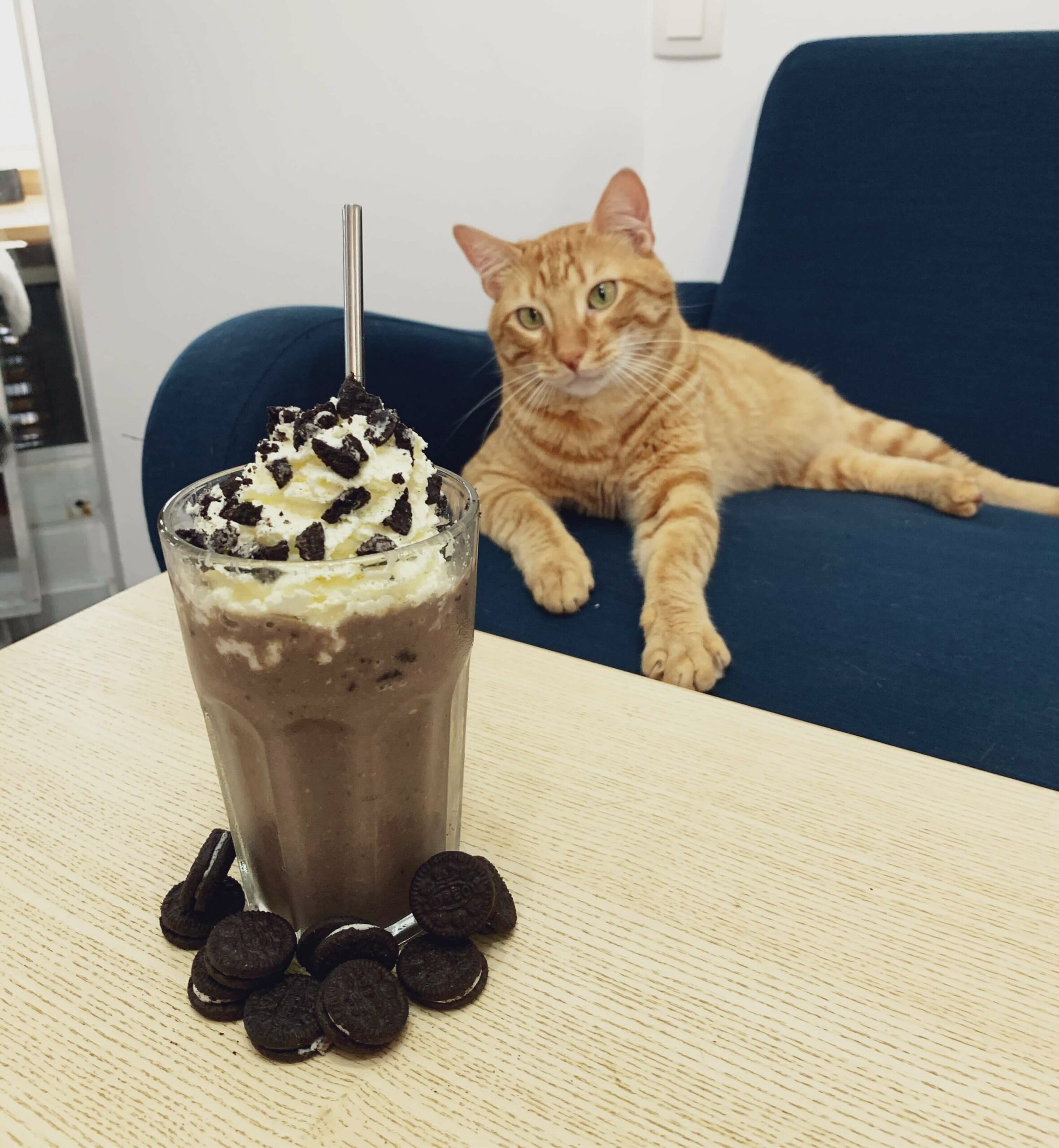 La carte Café à chat AixenProvence Meow Cats Café